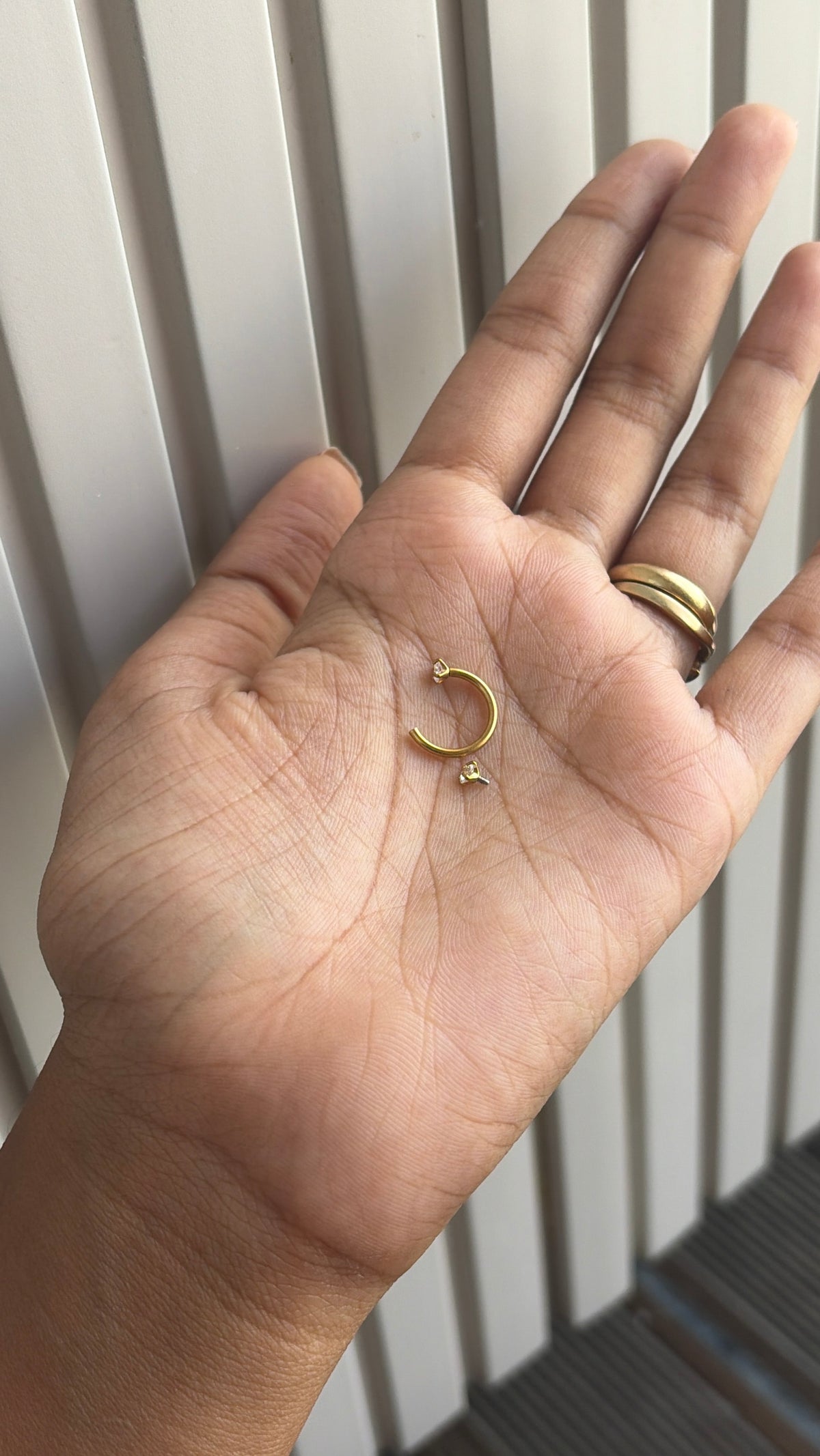 Horse shoe earrings