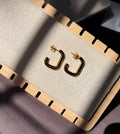 Arina Hoops