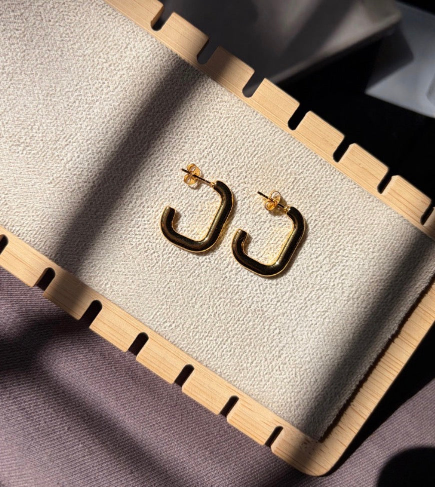 Arina Hoops